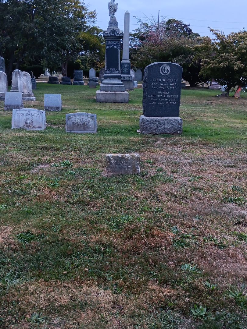 Harry S. Medlar's grave. Photo 1