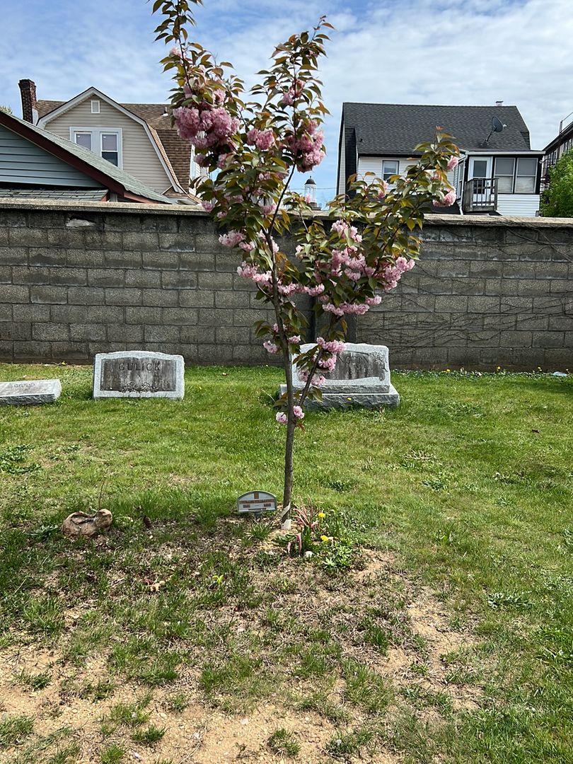 David Ladny's grave. Photo 1