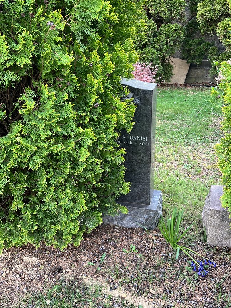 William A. Daniel's grave. Photo 1