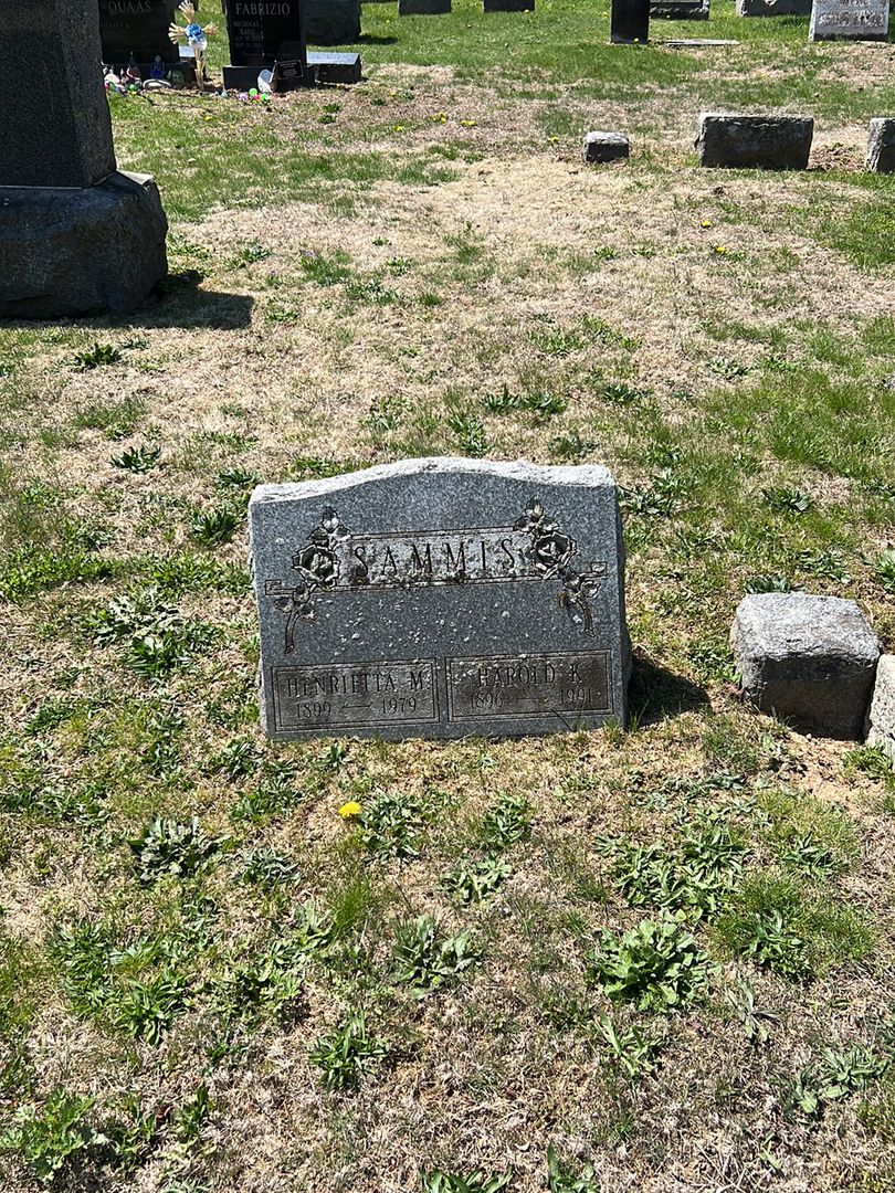 Henrietta M. Sammis's grave. Photo 1