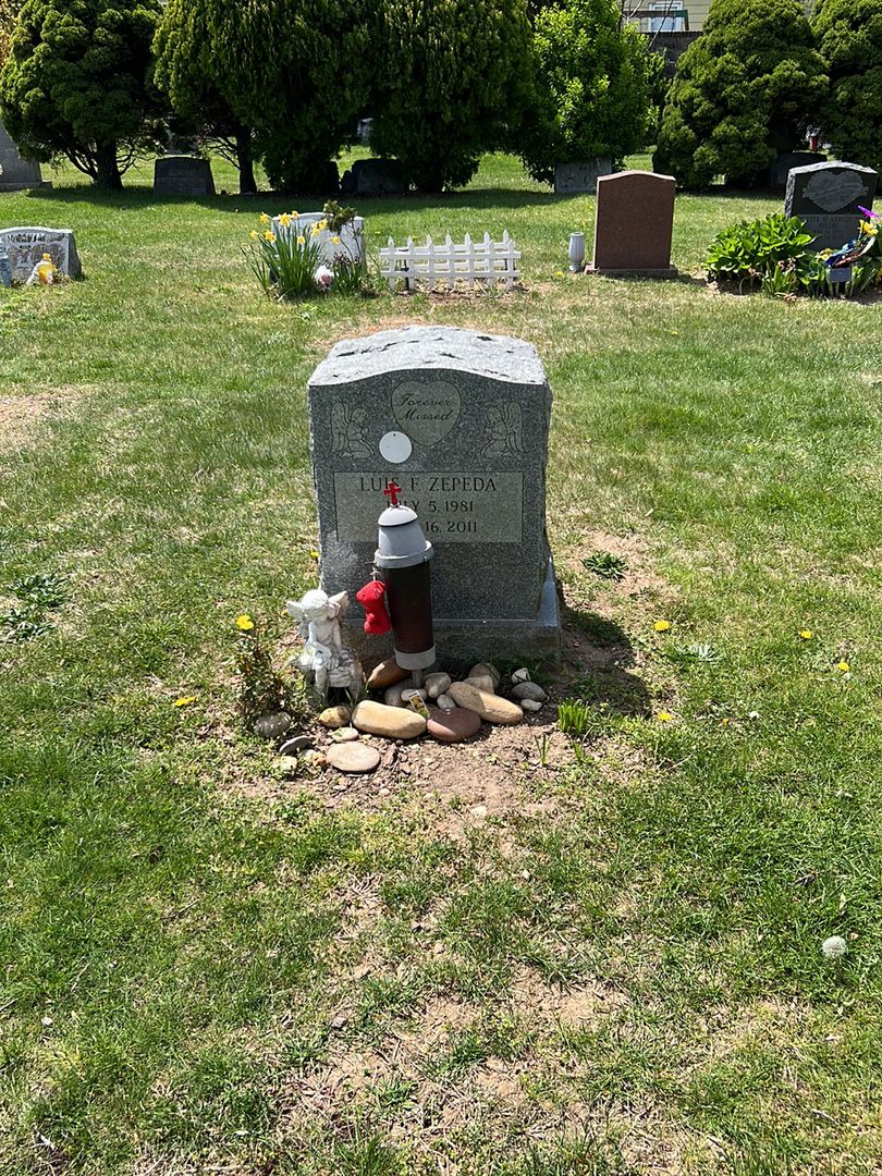 Luis F. Zepeda's grave. Photo 1
