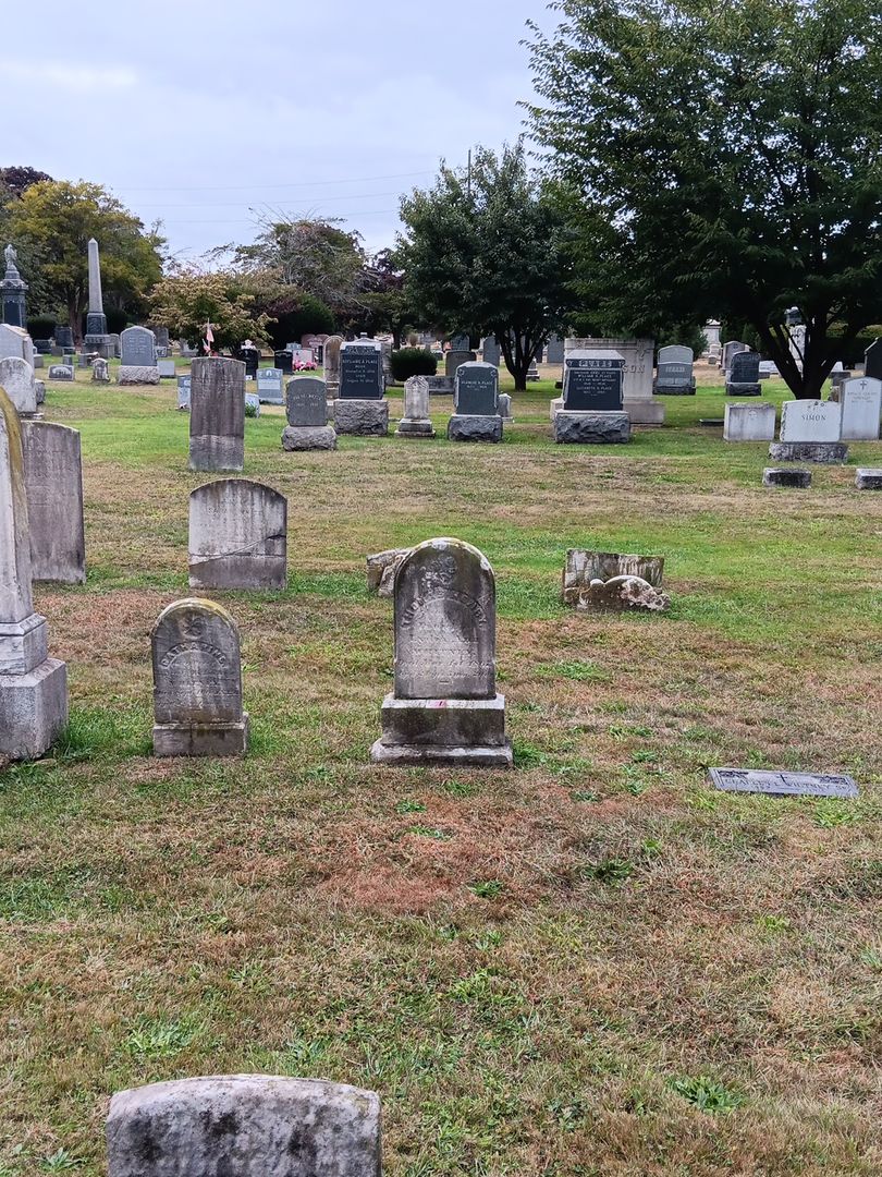 Thomas Henry Whitney's grave. Photo 1