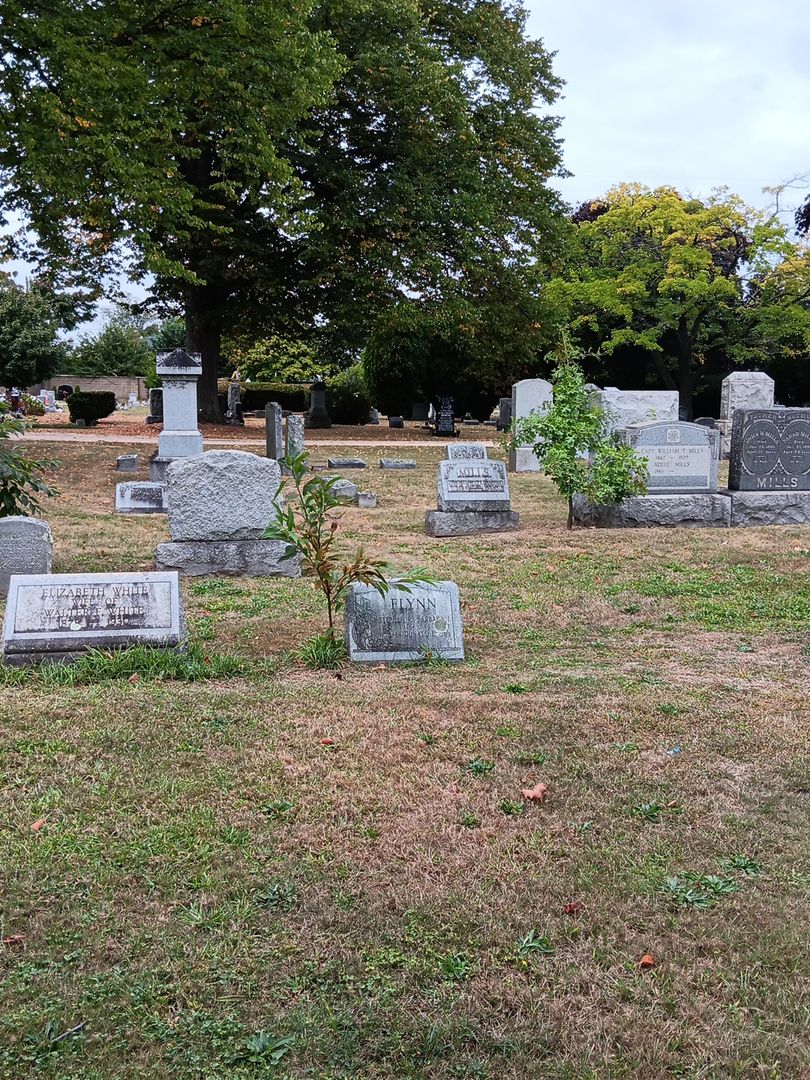 Barbara June Flynn's grave. Photo 1