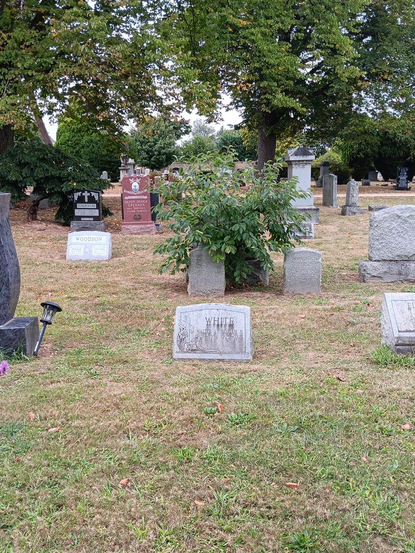 Walter F. White's grave. Photo 1