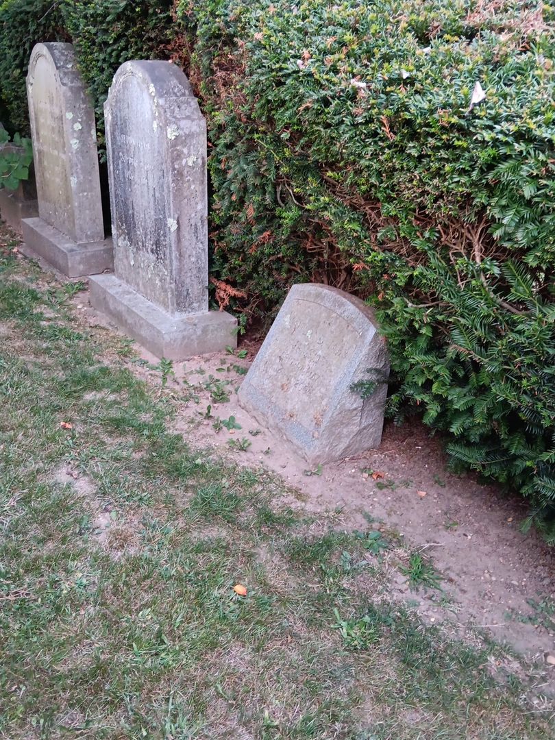 Maitland Tabb Ijams Junior's grave. Photo 1