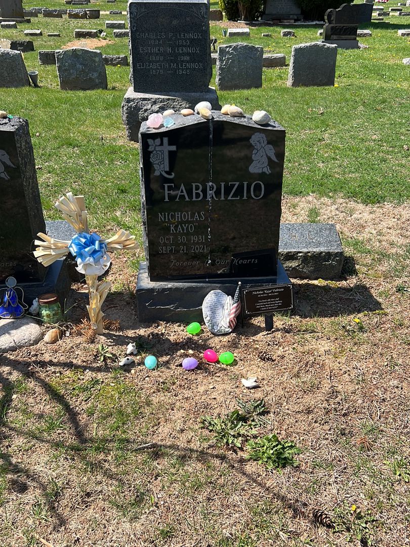 Nicholas J. "Kayo" Fabrizio's grave. Photo 1