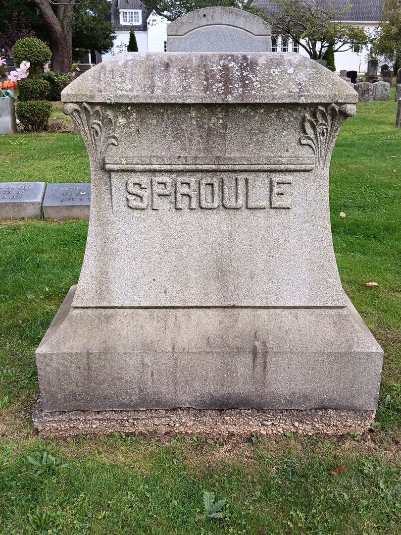 Mary Elizabeth Failing Wesley's grave. Photo 1