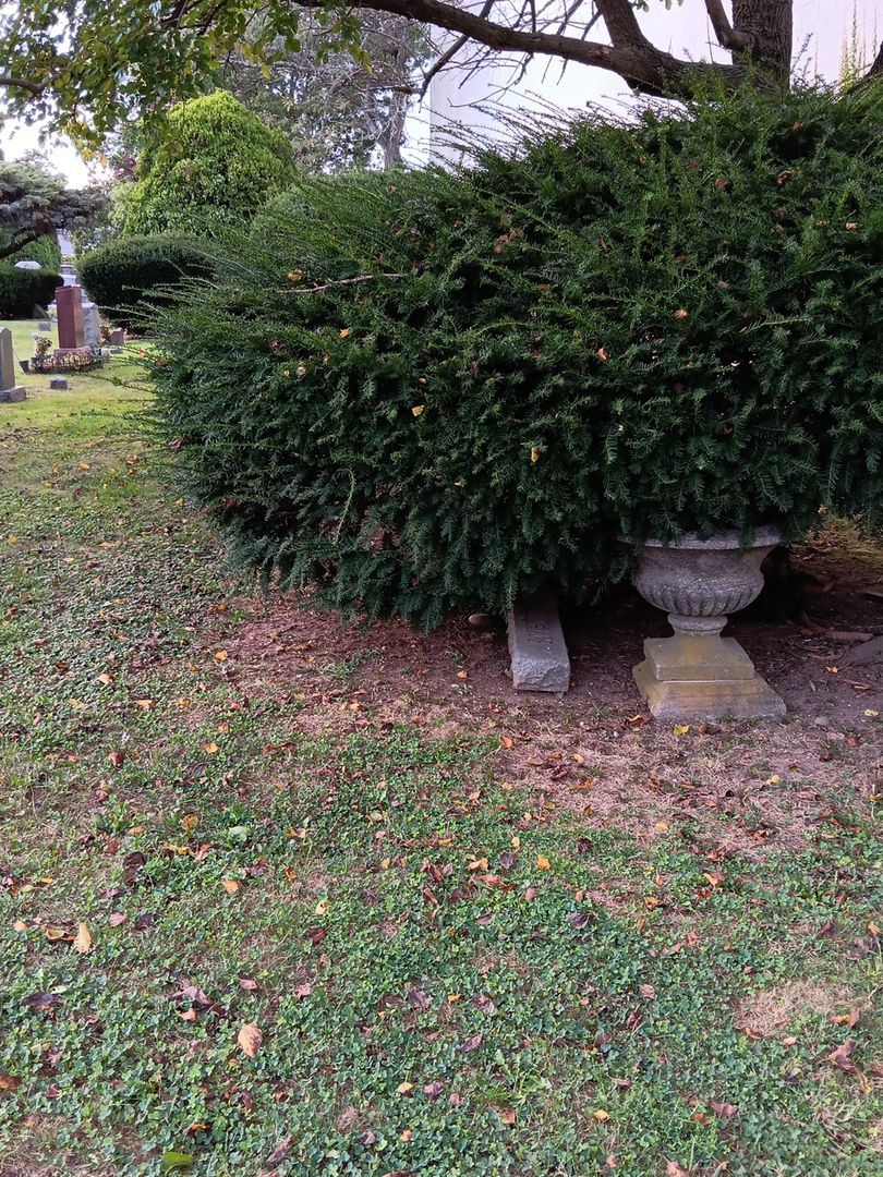 Jessie Gardner's grave