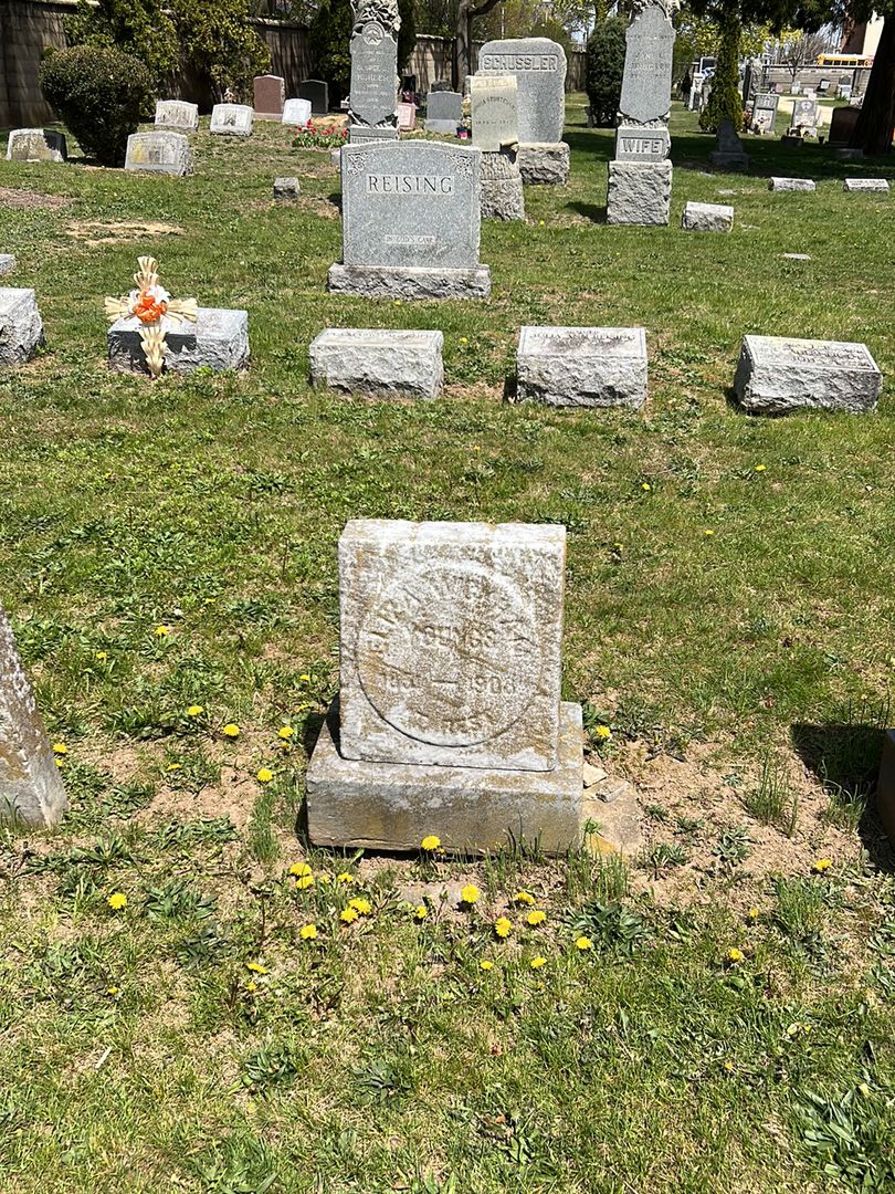 Eliza W. Youngs's grave. Photo 1