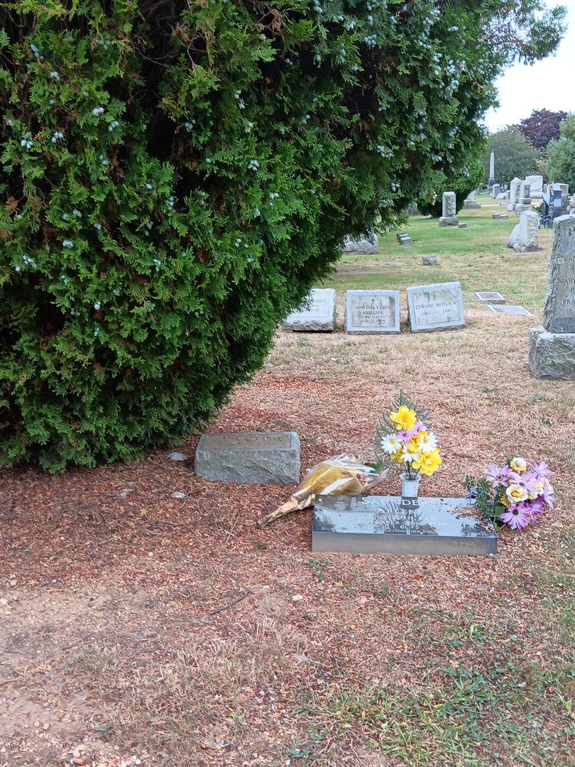 John W. Faber's grave. Photo 1