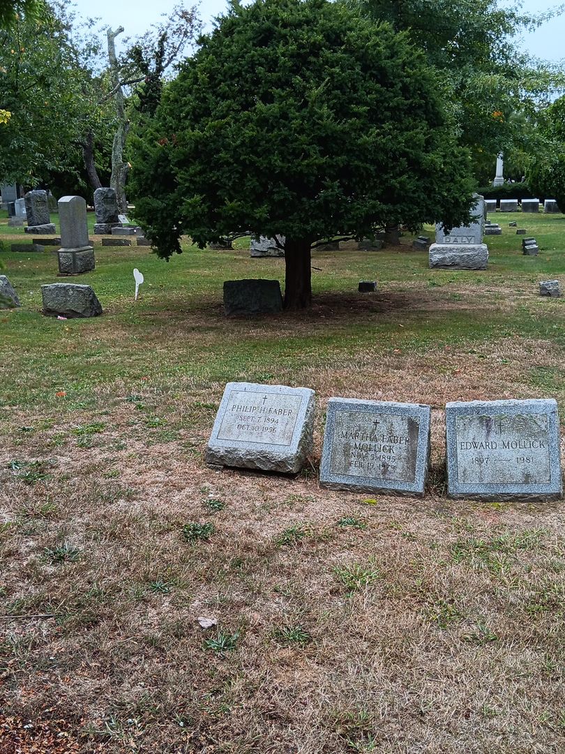 Philip H. Faber's grave. Photo 1