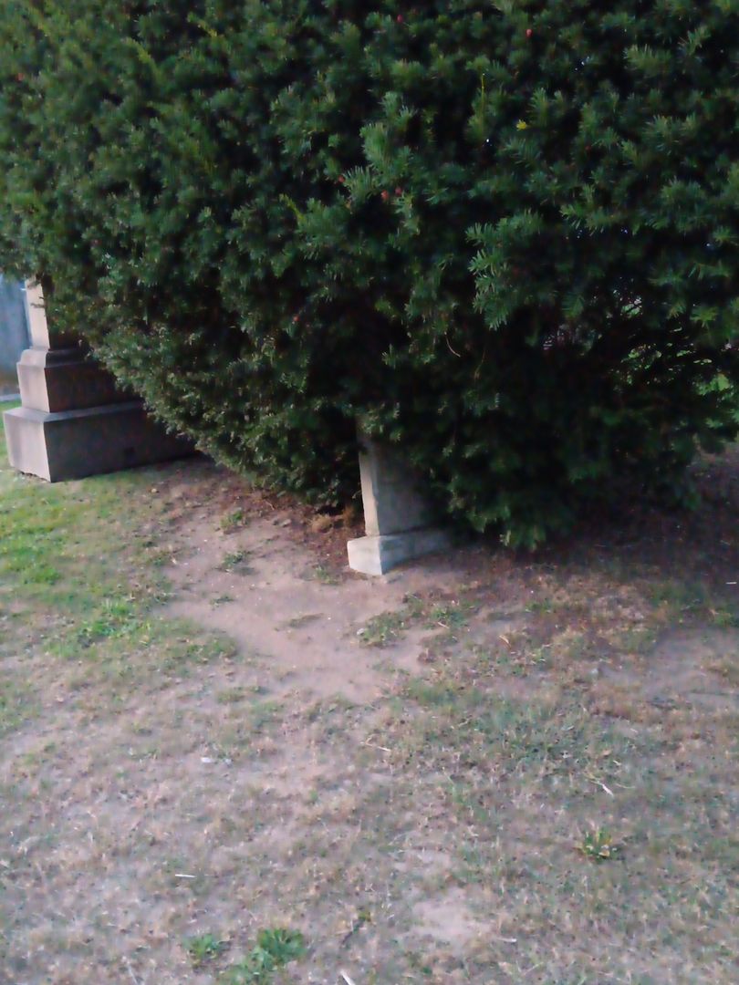 George Abrams's grave. Photo 1
