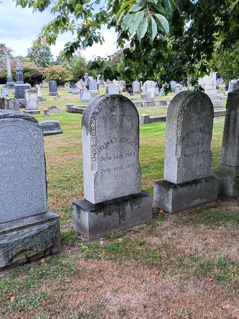 Selina F. Hewlett's grave. Photo 1