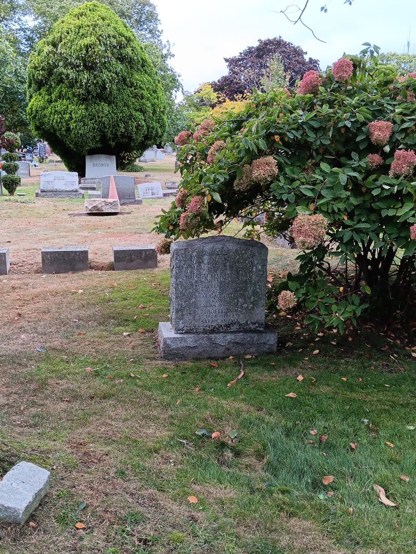 Sarah Amelia Cornell's grave. Photo 1