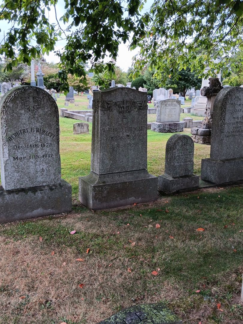 Whitfield C. Hewlett's grave. Photo 1